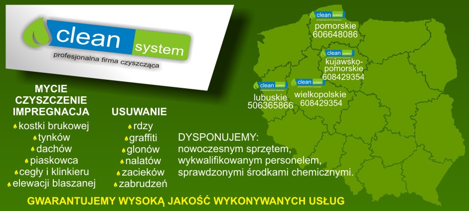 Clean System
